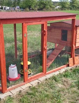 Pierwszy kurnik i kury